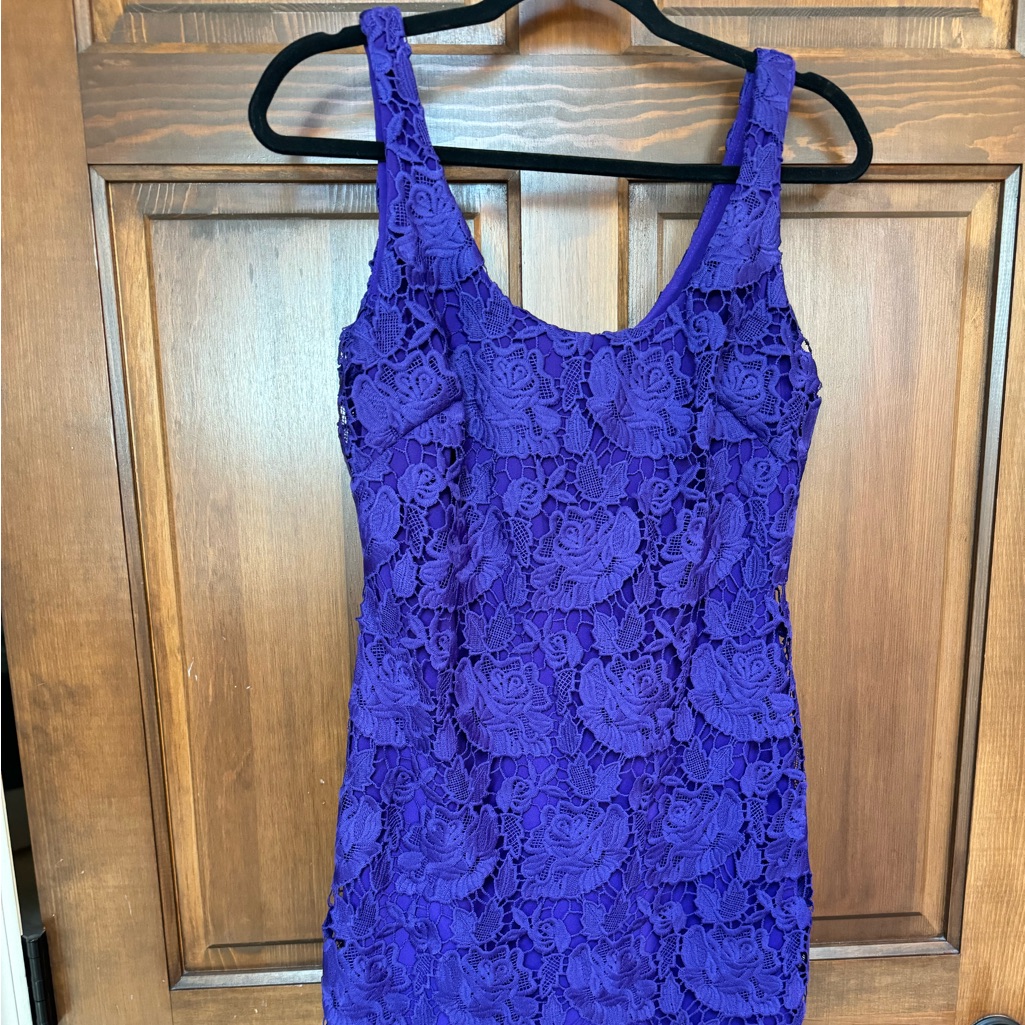 Lauren Ralph Lauren Size 6 Hydrangea Purple Lace Dress Nwt Scalloped Bottom